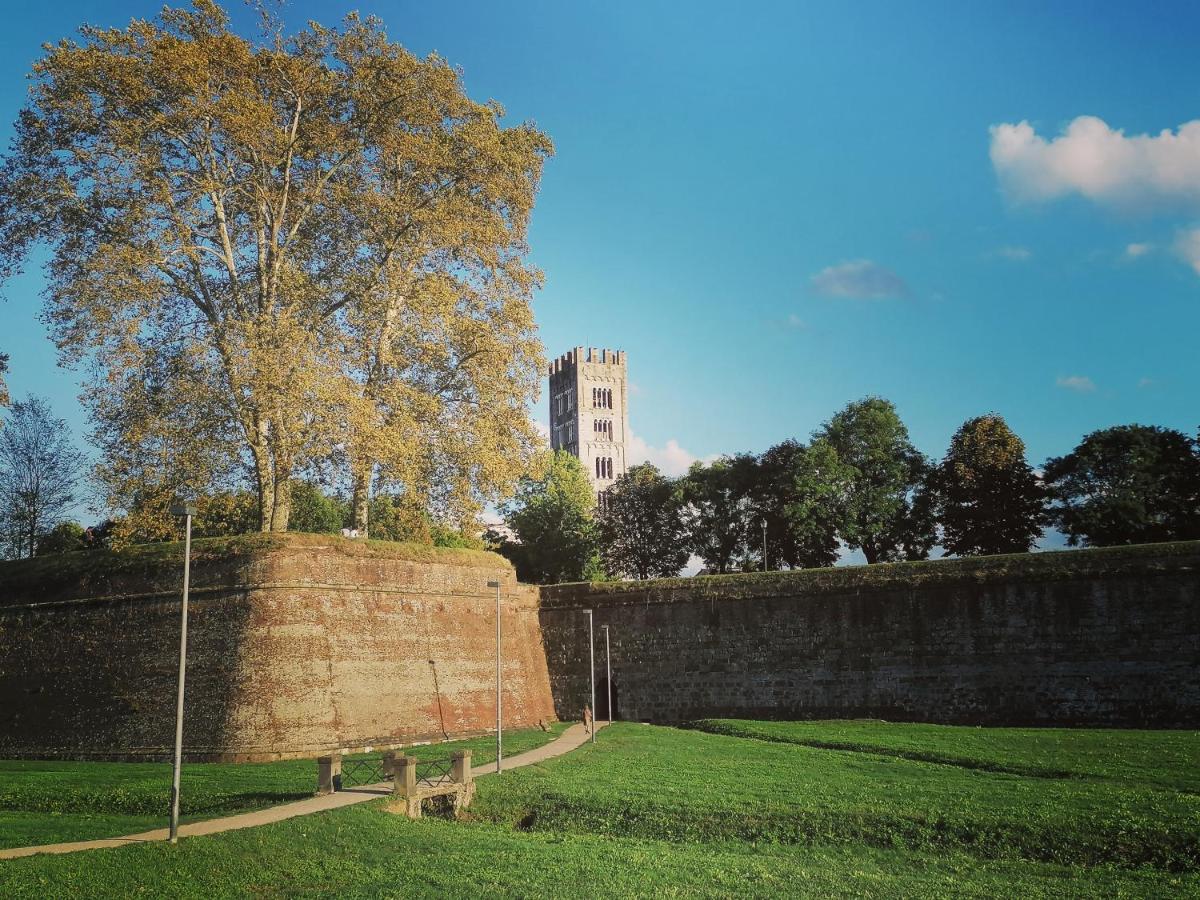 Le Melodie Di Lucca Bagian luar foto