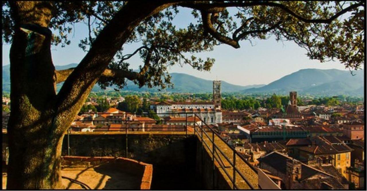 Le Melodie Di Lucca Bagian luar foto